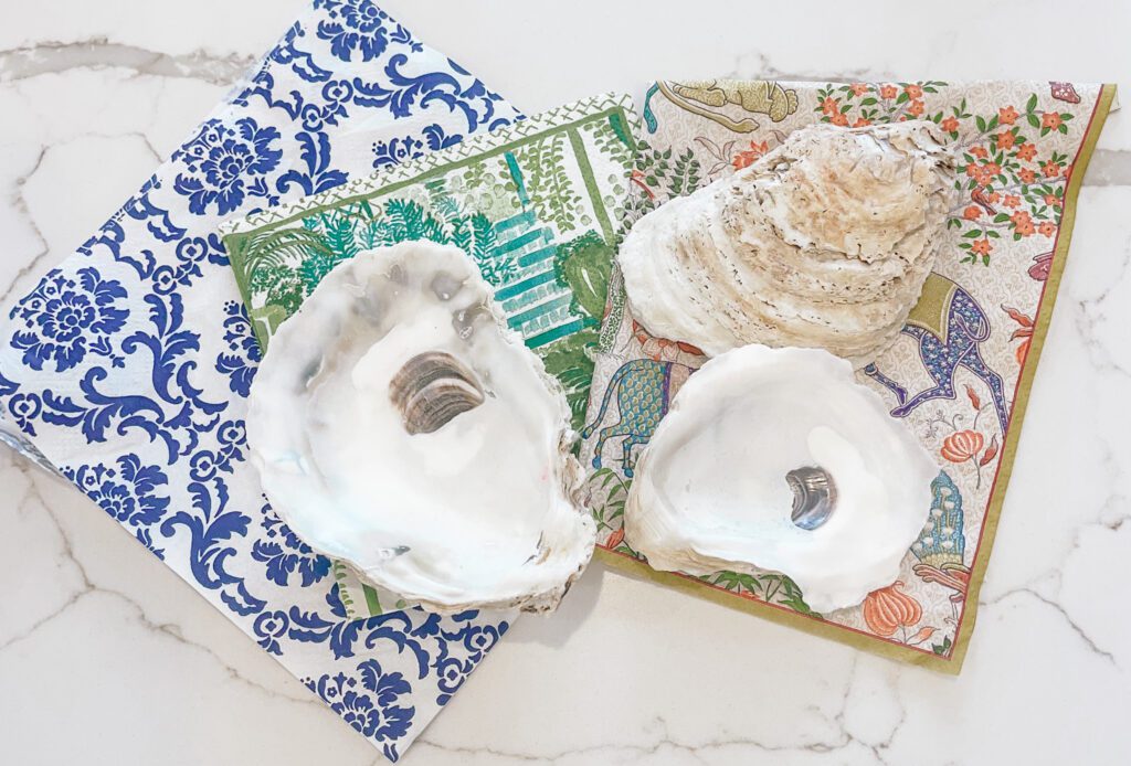 oyster shell jewelry dish