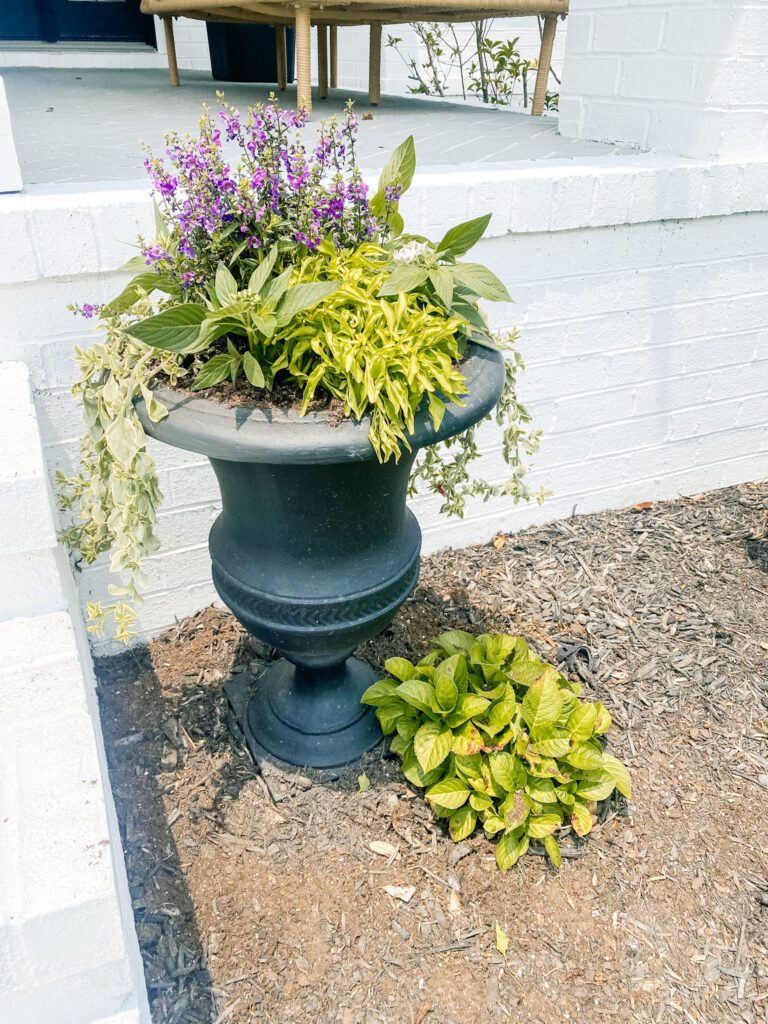 How to create a Planter 