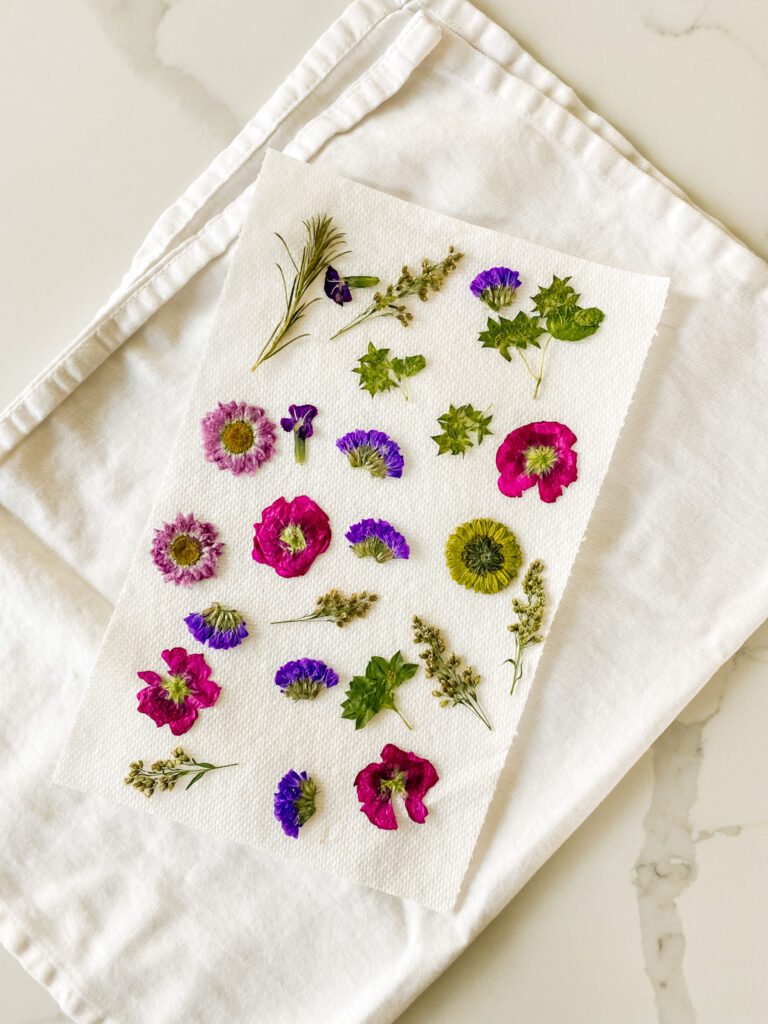 Dried pressed flowers