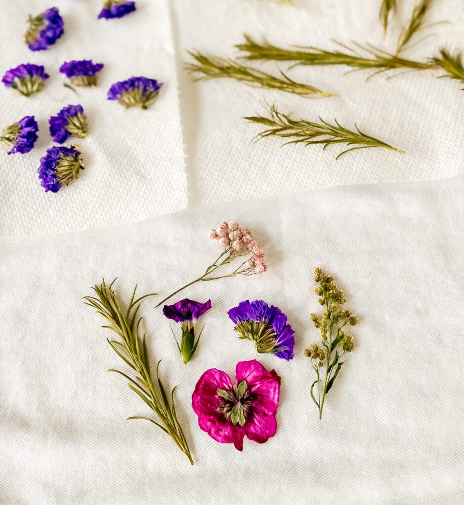 Dried Pressed Flowers