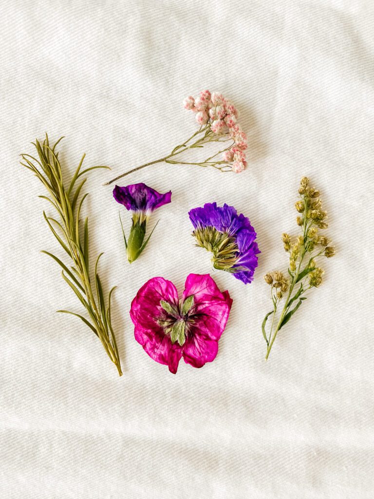 Dried Pressed Flowers