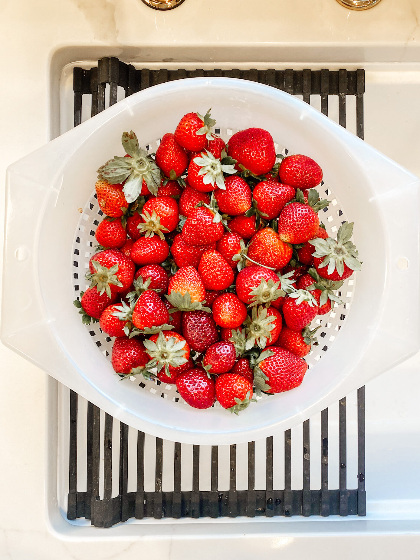 Fresh Picked Strawberries in Colander