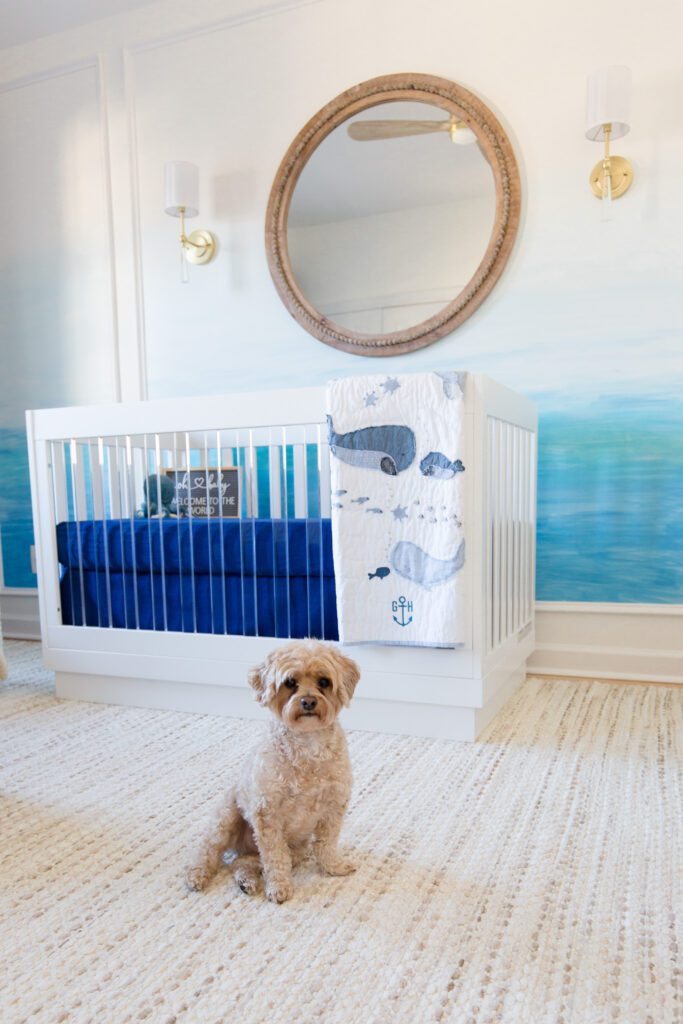 Dog sitting in ocean themed nursery