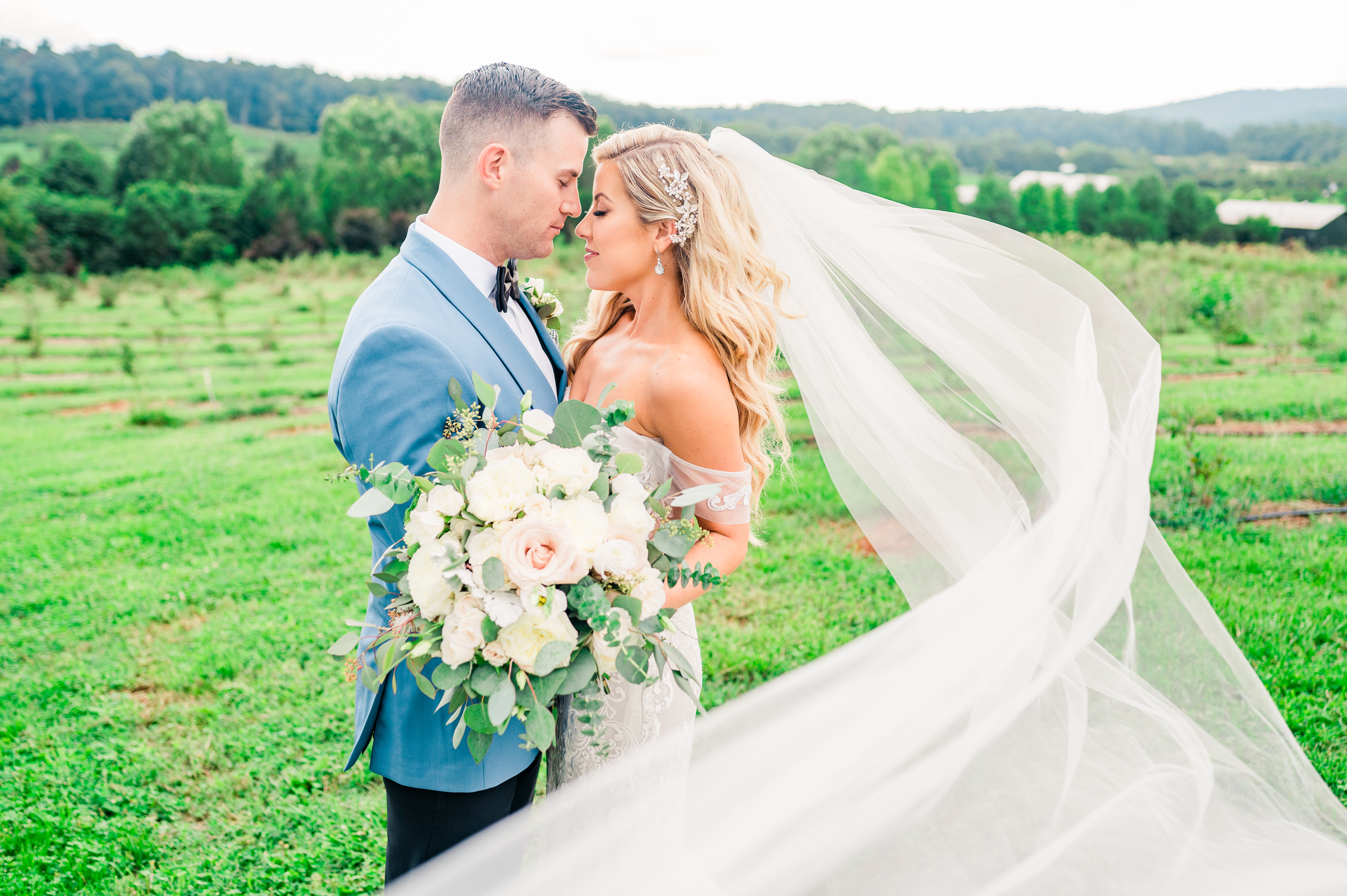 Bride and Groom in vineyard with veil blowing in the wind