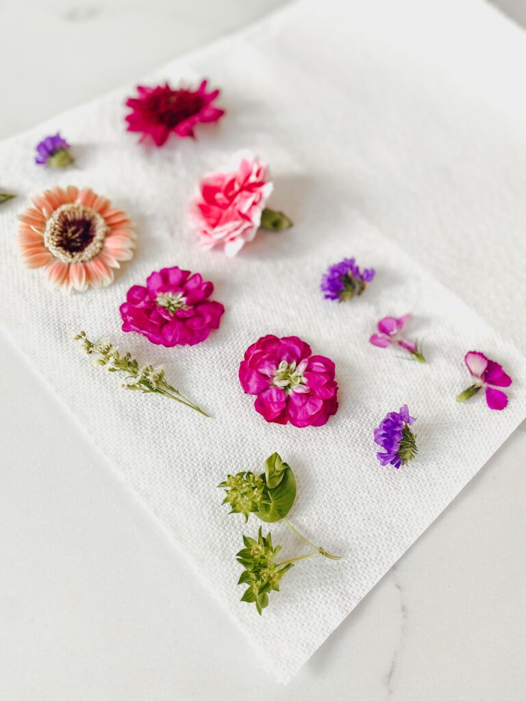 Fresh Colorful Flowers for pressing