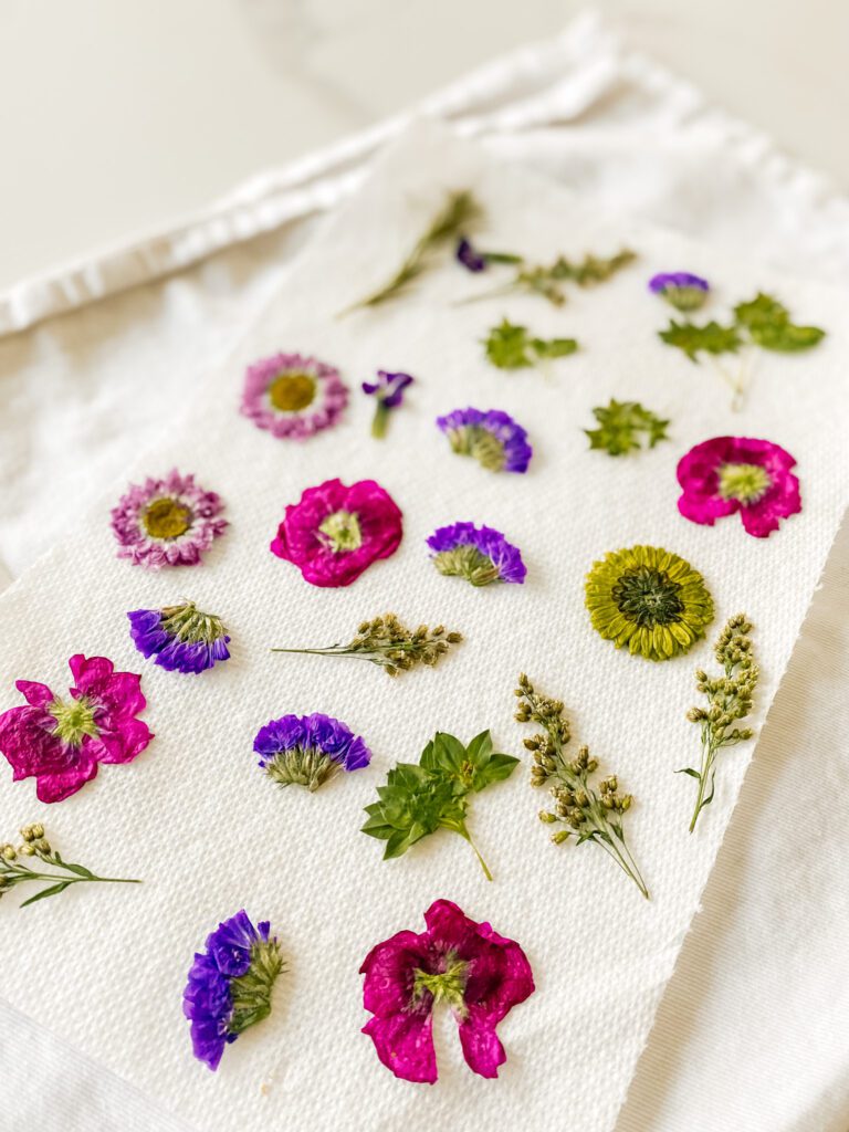 Dried pressed flowers