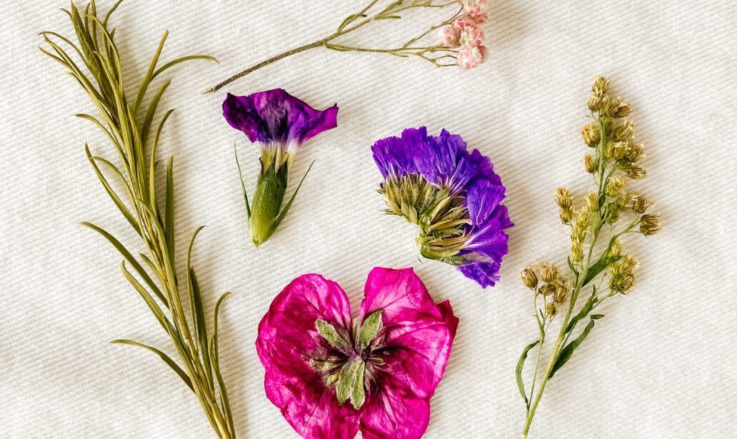 How to Make Dried Pressed Flowers in 90 Seconds